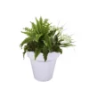 Evergreen Outdoor Fiberglass Planter With Solar Lights, White 16 X 15 X 16 Inches Garden And Yard Decor