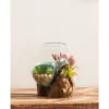Evergreen Beautiful Springtime Small Glass Planter On Driftwood Outdoor Decor - 7 X 6 X 6 Inches Fade And Weather Resistant Decoration