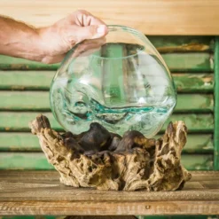 Evergreen Glass Planter On Driftwood -Optimal Home Decoration GUEST 7b1e3546 4c30 4ced a76f 977ccc9f6860