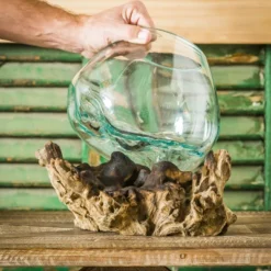 Evergreen Glass Planter On Driftwood -Optimal Home Decoration GUEST 81738de2 6ba7 407e b8ea 164100ee32ae