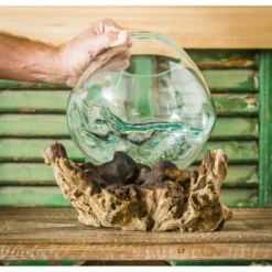 Evergreen Glass Planter On Driftwood -Optimal Home Decoration GUEST 948a4139 9e2a 4630 aa88 8ded0fc3f6d0