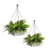 Evergreen Geometric Embossed Metal Planter, Set Of 2
