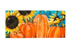 Evergreen Indoor Outdoor Doormat Bundle Set Of 5 - Frame And 4 Welcome Seasonal Inserts Spring Summer Fall And Winter -Optimal Home Decoration GUEST c3c21e44 9c88 4c11 b215 b0f0786193ea