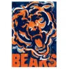 Evergreen NFL Chicago Bears Garden Suede Flag 12.5 X 18 Inches Indoor Outdoor Decor